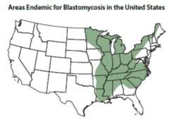 Map showing blastomycosis endemic areas USA.